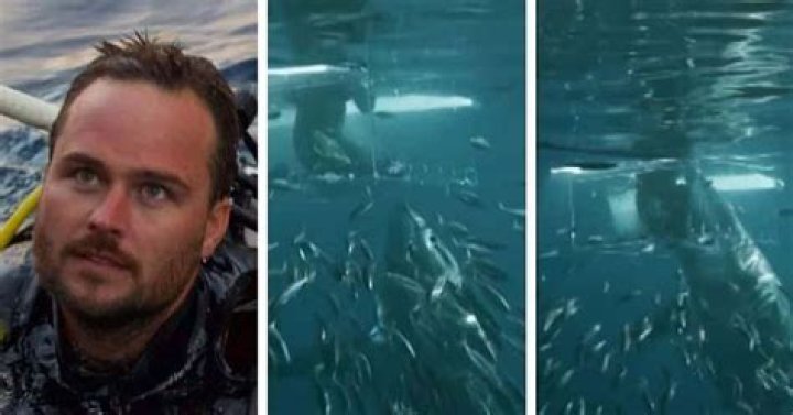 Jimi Partington (Shark Week) Wiki, Age, Wife, Children, Family, Net Worth, Biography & More