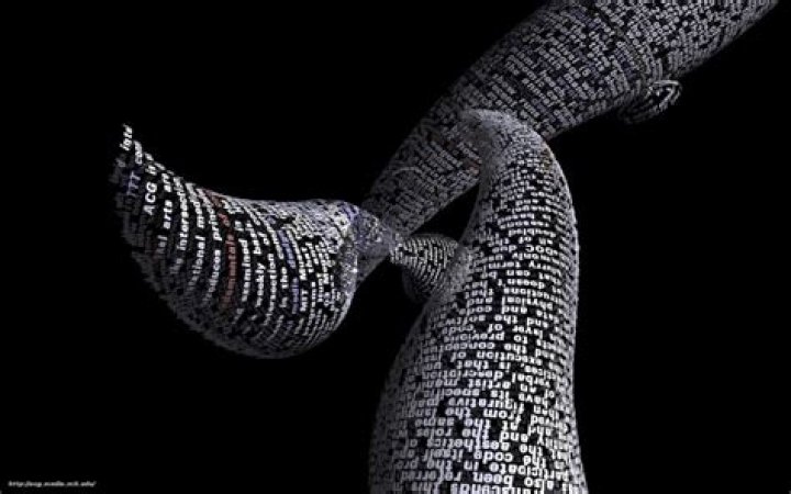 John Maeda Biography, Age, Height, Wife, Net Worth, Family