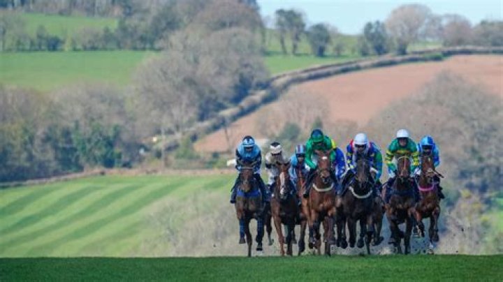 Josh Moore (Basketball Player) - Age, Birthday, Bio, Facts, Family, Net Worth, Height & More