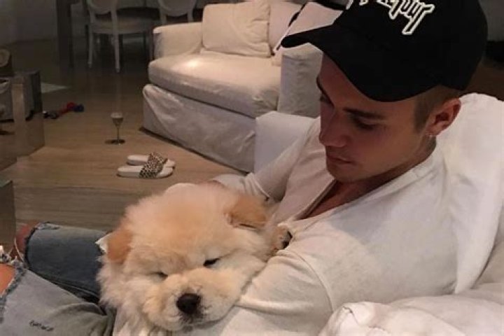 Justin Bieber Introduces Fans to His New Puppy Before Deactivating His Instagram Account!