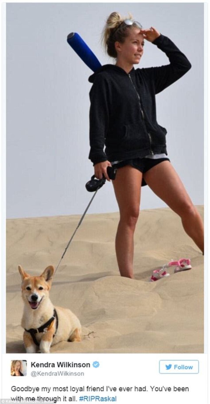 Kendra Wilkinson’s Dog Dies Just Weeks After Her Heartbreaking Split From Hank Baskett