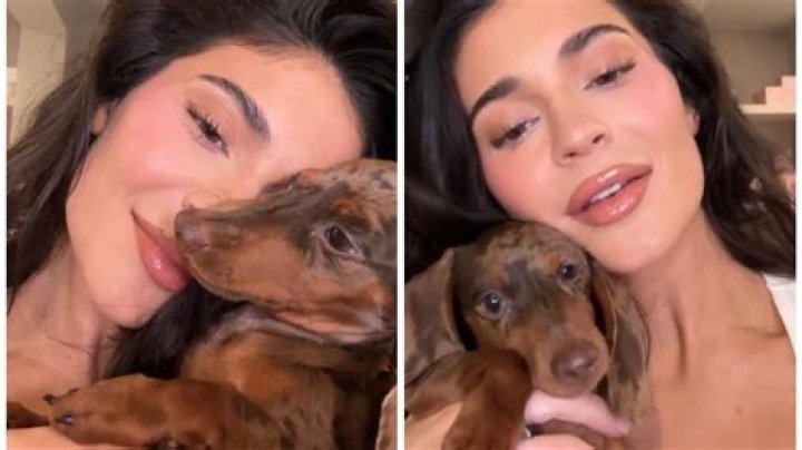 Kylie Jenner Shares Video of Rarely-Seen Pups Norman and Bambi — So, What Do They Think of Stormi?