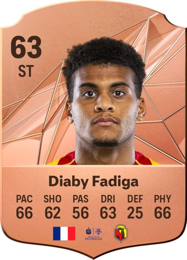 Lamine Diaby-Fadiga Biography, Age, Height, Wife, Net Worth, Family