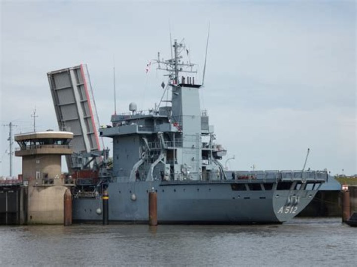 lenossa (TikTok Star) - Age, Birthday, Bio, Facts, Family, Net Worth, Height & More