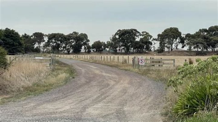 
Liam Harrington Death: Cricketer Died In Lethbridge Machinery Accident 