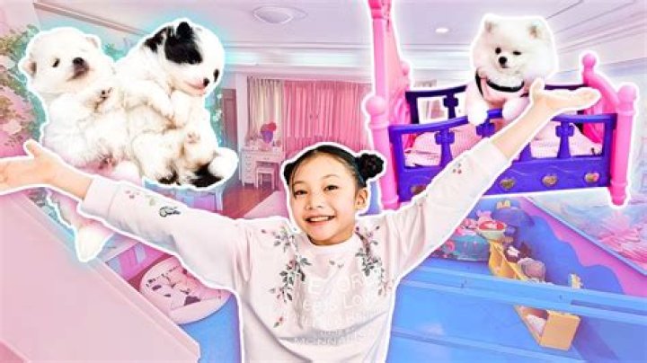 Little Big Toys (YouTube Star) - Umur, Ulang Tahun, Bio, Fakta, Keluarga, Kekayaan Bersih, Tinggi Badan & Lainnya