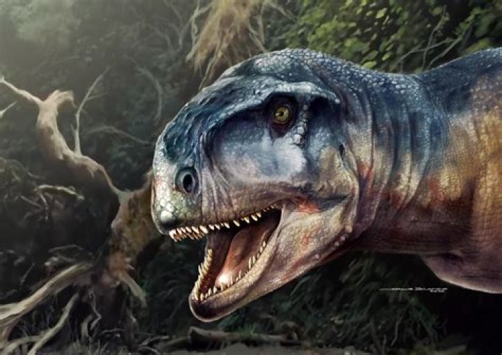 New T. Rex-Like Dinosaur With Bizarre Skull Unearthed In Argentina