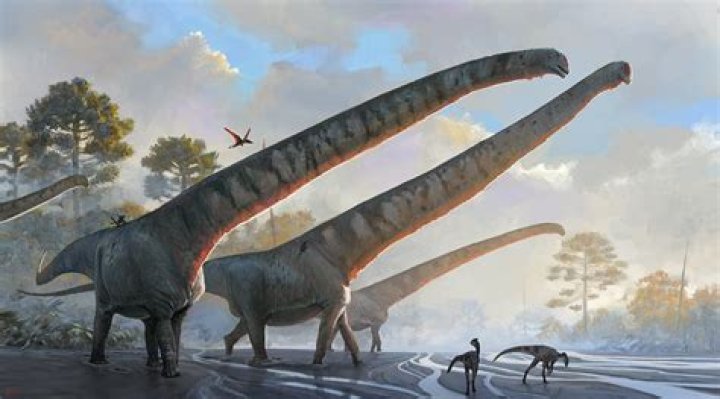 Researchers Identify The Dinosaur With The Longest Neck