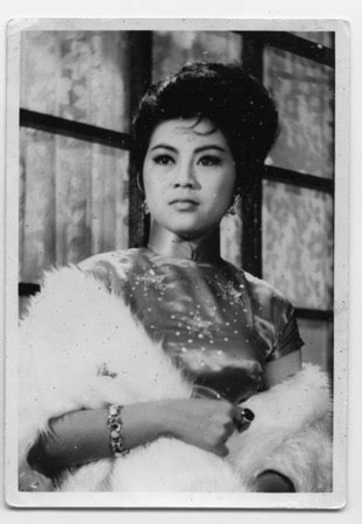 Man-Chiao Wang Biography, Age, Height, Husband, Net Worth, Family