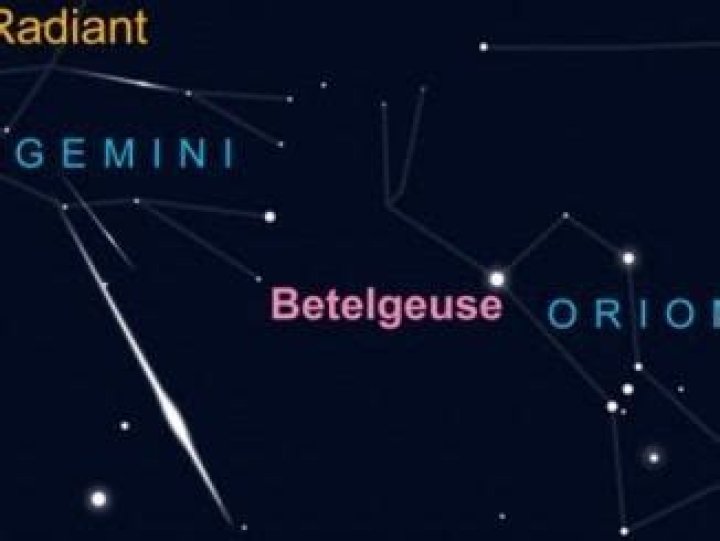 Mark Armstrong Biography, Age, Height, Wife, Net Worth, Family