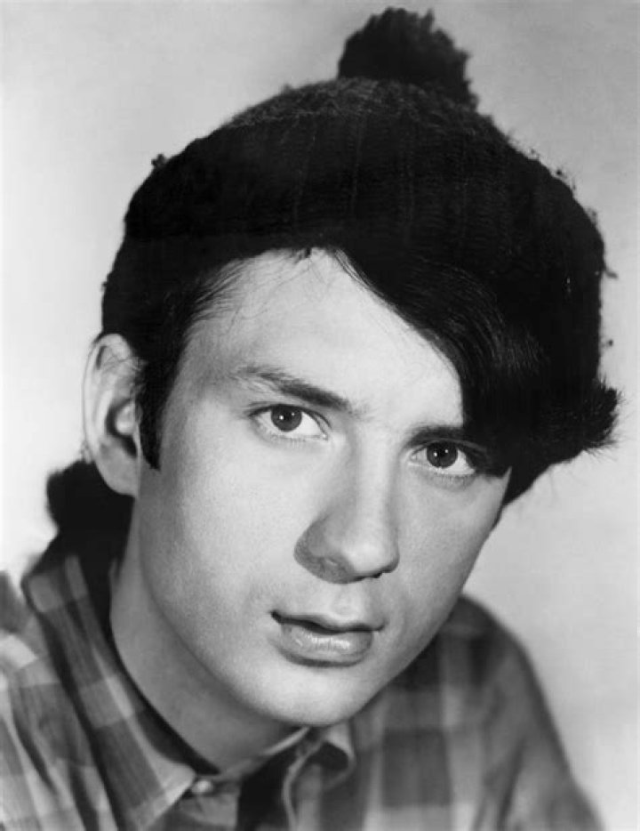 Michael Nesmith (Rock Singer) - Age, Birthday, Bio, Facts, Family, Net Worth, Height & More
