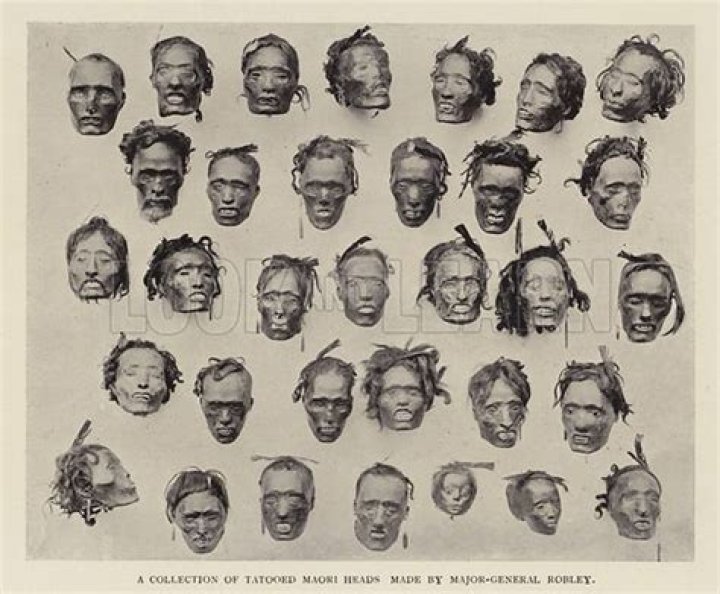 The Disturbing Story Of The Mokomokai Heads Of The Maori Tribesmen