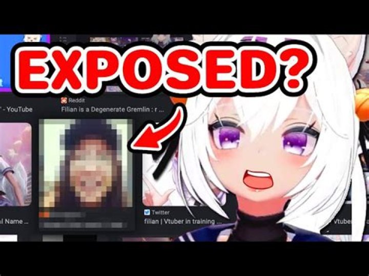 Momo Vtuber Accidental Face Reveal Is Talk Of The Town, Is It True?