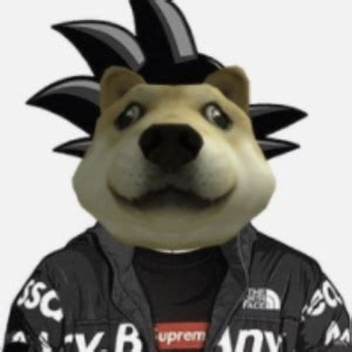 Mr_Booshot (YouTube Star) - Age, Birthday, Bio, Facts, Family, Net Worth, Height & More