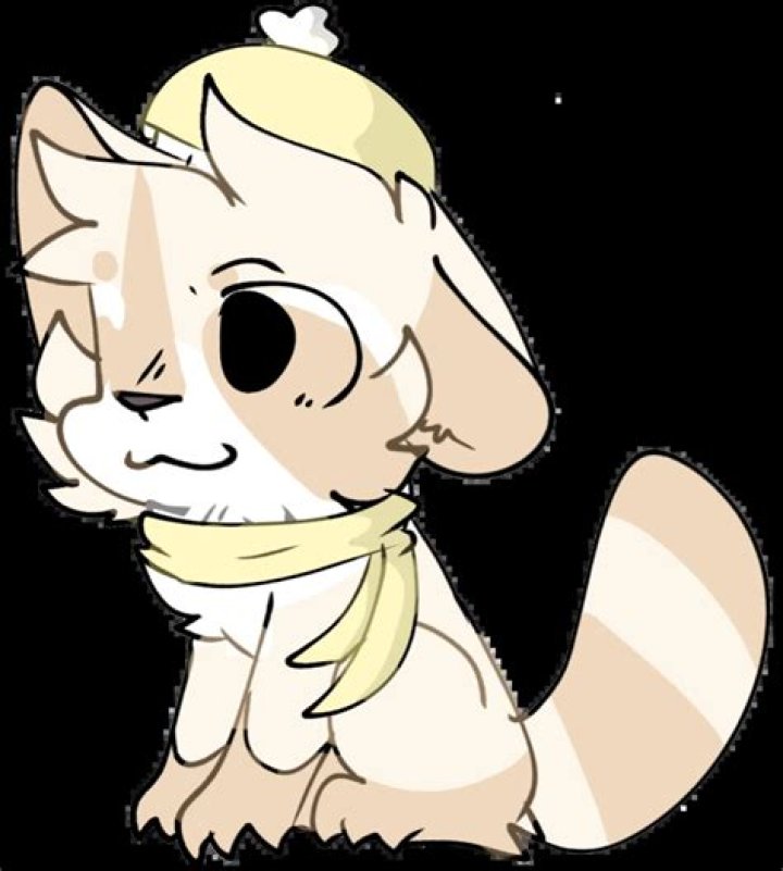 Mylo Biography, Age, Height, Wife, Net Worth, Family