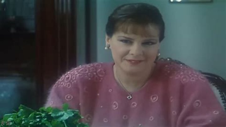 Nazim Shaarawy biografía, edad, altura, esposo, net worth, familia