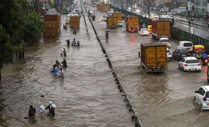 
NGT seeks suggestions from Centre, others on rainwater blockage issue on roads 
