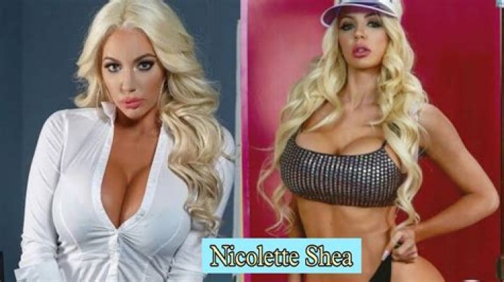 Nicolette Harpe Height, Weight, Net Worth, Age, Birthday, Wikipedia, Who, Instagram, Biography