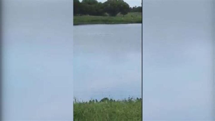 Teenagers Who Recorded And Taunted Drowning Man Face No Charges