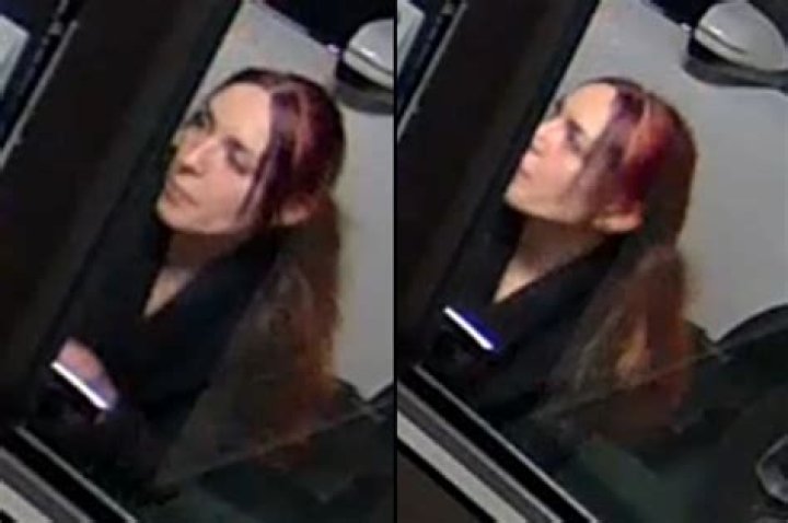 
NYC woman arrested for setting pride flag on fire, vandalizing NYPD cop cars 