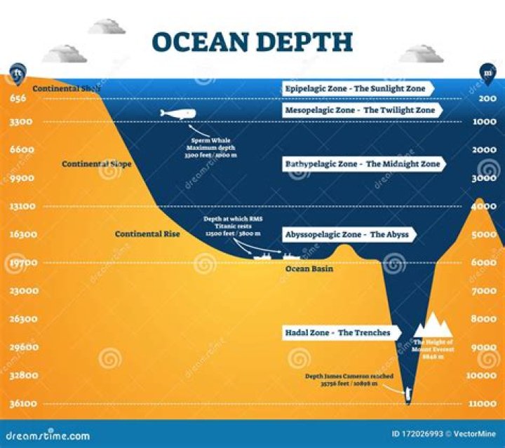 The Depth Of The Ocean In Perspective