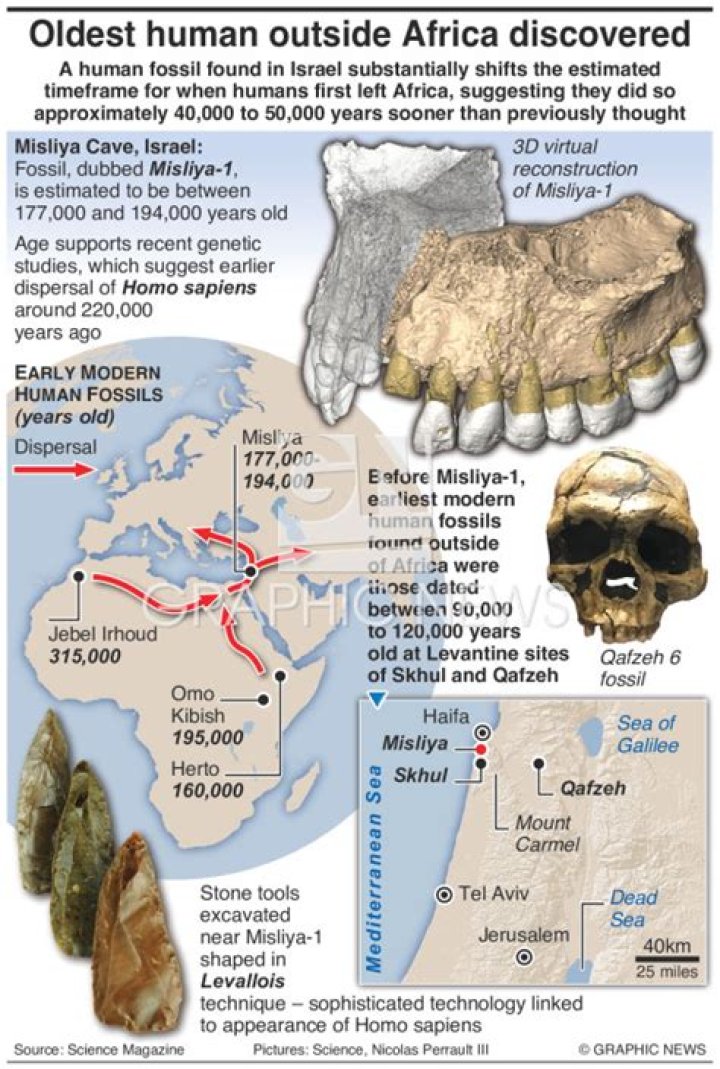 Scientists Discover Oldest Human Fossil Found Outside Africa