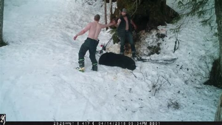 Andrew Renner And Son Owen Caught On Camera Killing Bear, Cubs