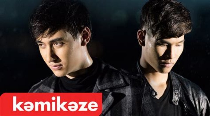 Part Kamikaze (Pop Singer) - Age, Birthday, Bio, Facts, Family, Net Worth, Height & More