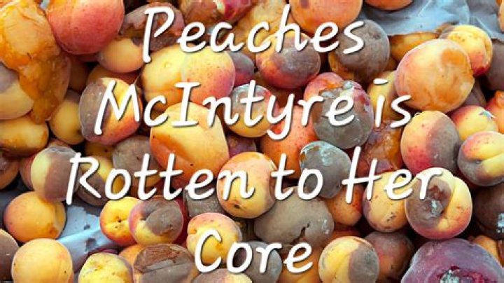 Astrology Birth Chart of Peaches McIntyre (YouTube Star) 2024