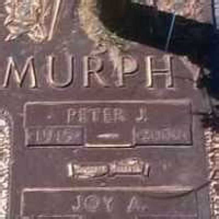 Peter John Murphy (Rock Singer) - Age, Birthday, Bio, Facts, Family, Net Worth, Height & More