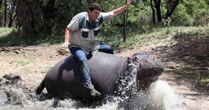 9 Disturbing Stories Of Pets That Killed Their Owners