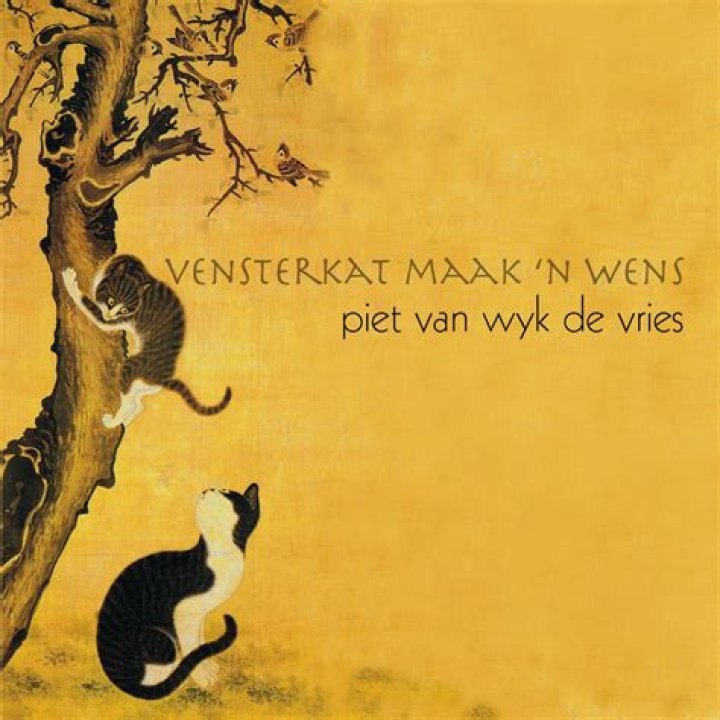 Piet van Wyk de Vries Biography, Age, Height, Wife, Net Worth, Family