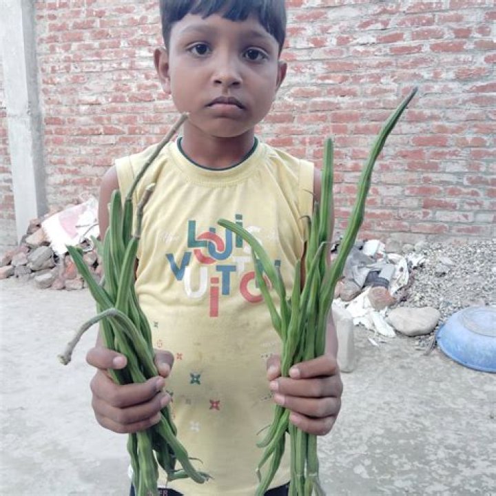 Poonam Gupta Biography, Age, Height, Husband, Net Worth, Family