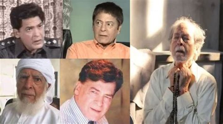 
Qavi Khan Illness Before Death: Did Pakistani-Canadian Actor Die Of Cancer? 