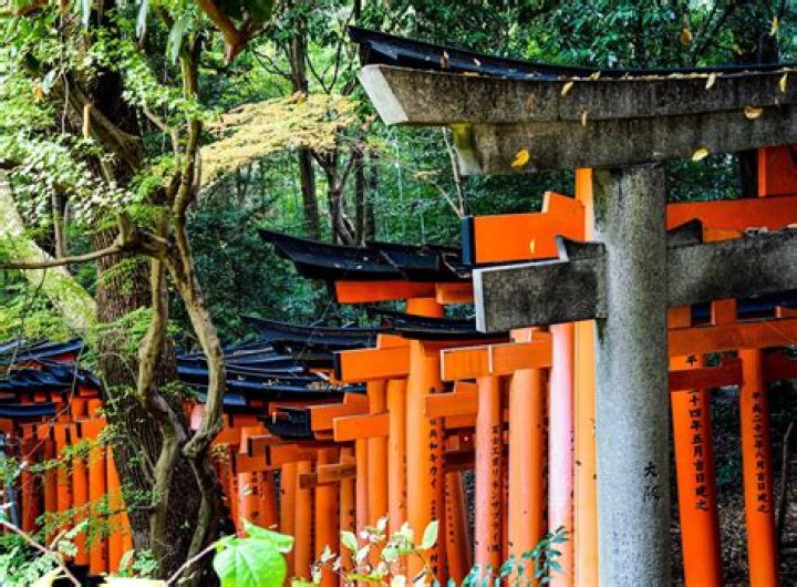 Ritsu Doan Parents Are Japanese Buddhists From Amagasaki