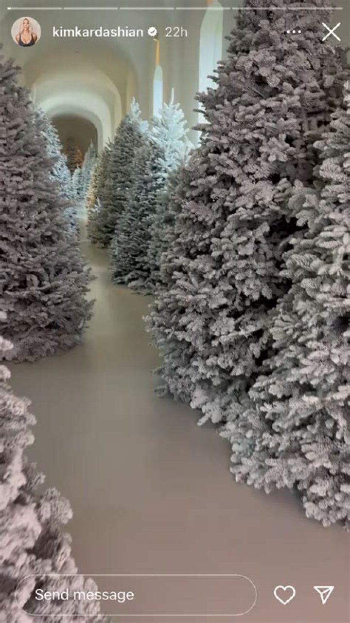 Rob Kardashian Has a Disney Princess-Themed Christmas Tree for Daughter Dream! See All of Their Decorations