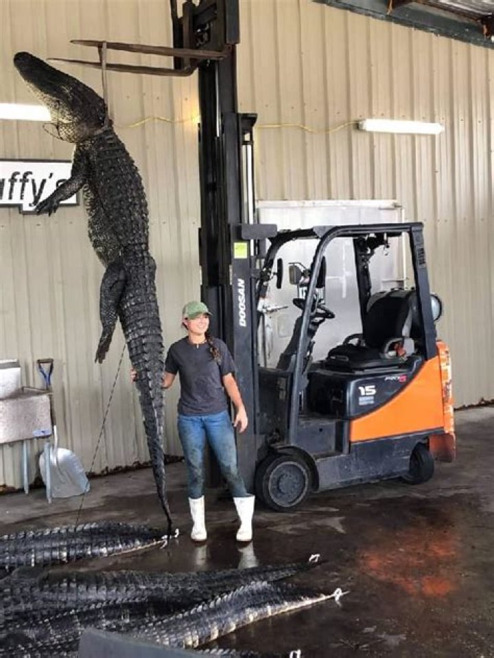 
Roy Fitch Height, Weight, Net Worth, Age, Birthday, Wikipedia, Who, Nationality, Biography 