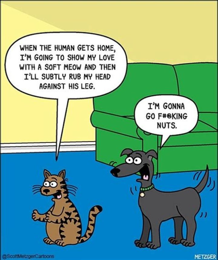 Scott Metzger Biography, Age, Height, Wife, Net Worth, Family