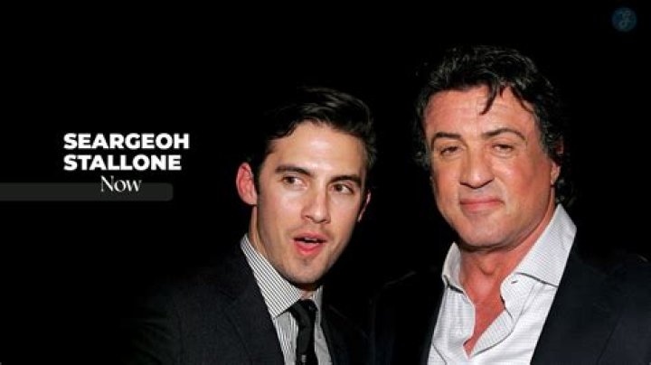 Seargeoh Stallone (Family Member) - Age, Birthday, Bio, Facts, Family, Net Worth, Height & More