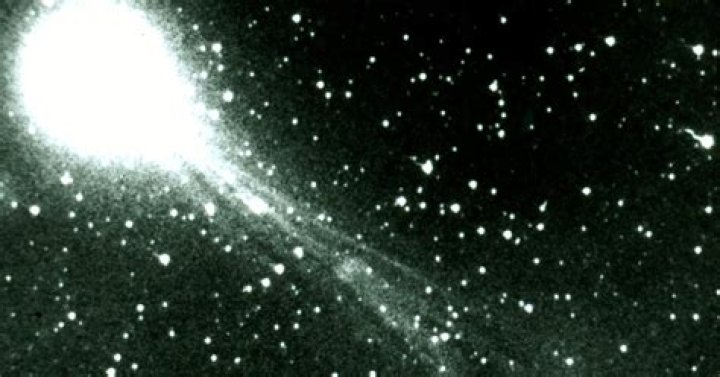 Make an Action Plan! See Your Horoscope for the Week of December 24 Through December 30