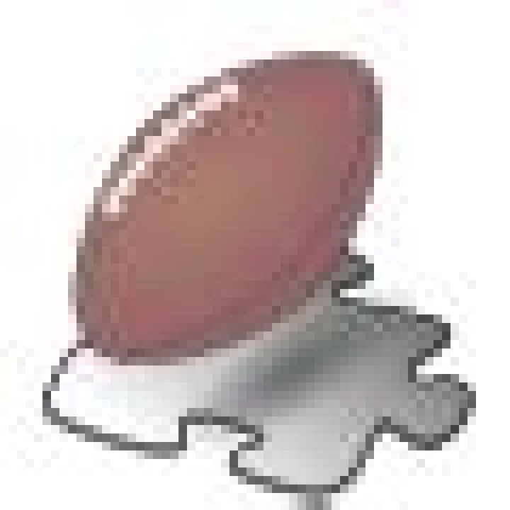 Selwyn Brown Biography, Age, Height, Wife, Net Worth, Family