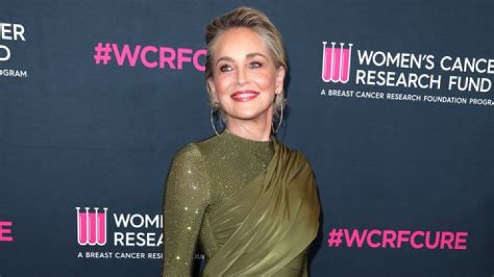 Sharon Stone Has a Basic Instinct When It Comes to Money: Find Out Her Staggering Net Worth