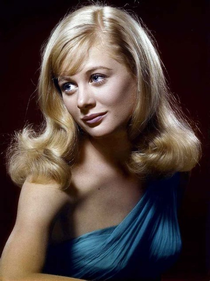 Shirley Knight (Movie Actress) - Age, Birthday, Bio, Facts, Family, Net Worth, Height & More