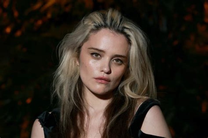 Sky Ferreira biografía, edad, altura, esposa, net worth, familia