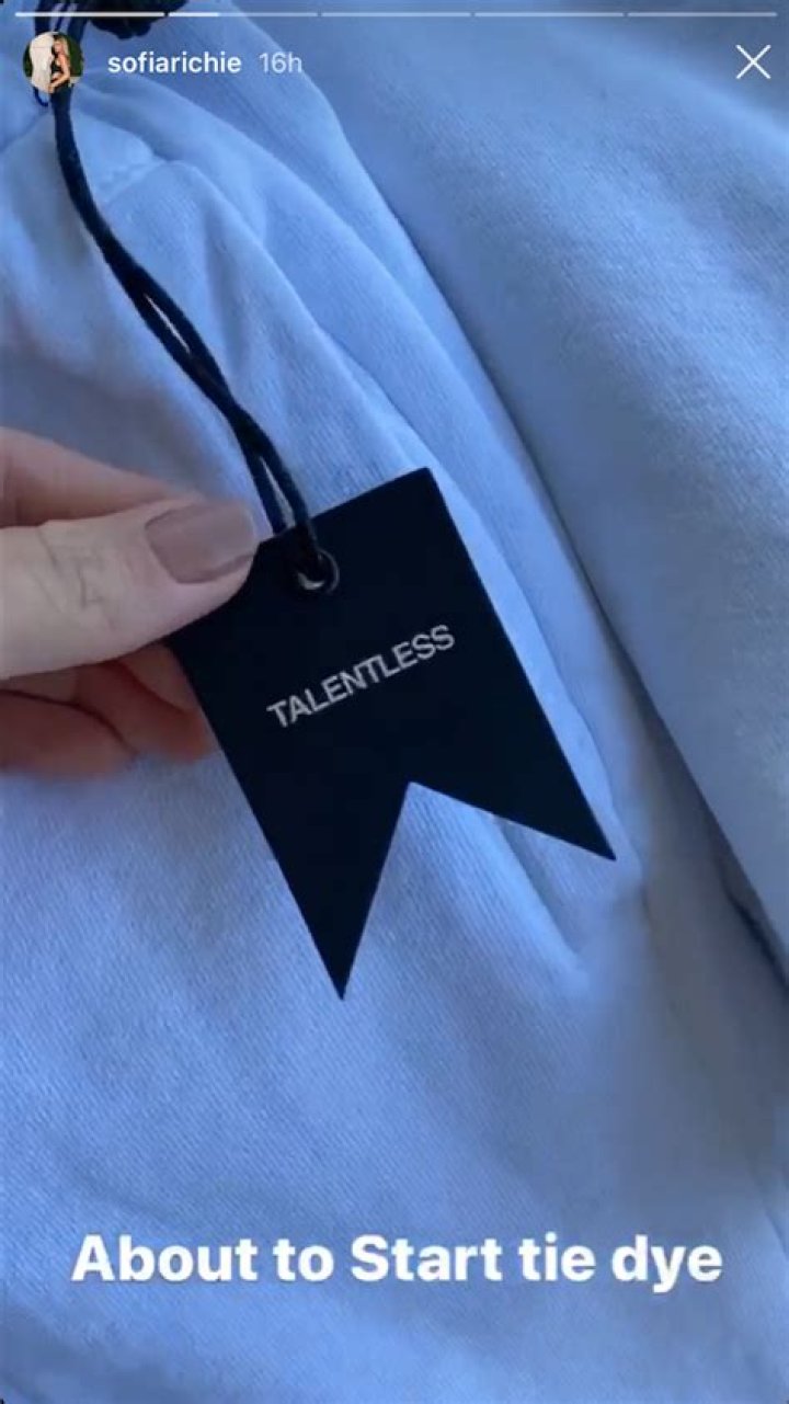 Sofia Richie Shows Off Supplies for a Backyard Tie-Dye Party With BF Scott Disick’s Talentless Line