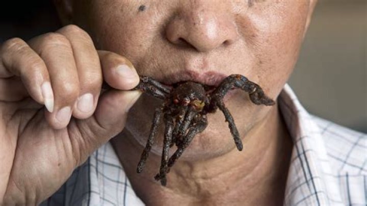 Spiders Could Theoretically Eat Every Human On Earth In Less Than A Year