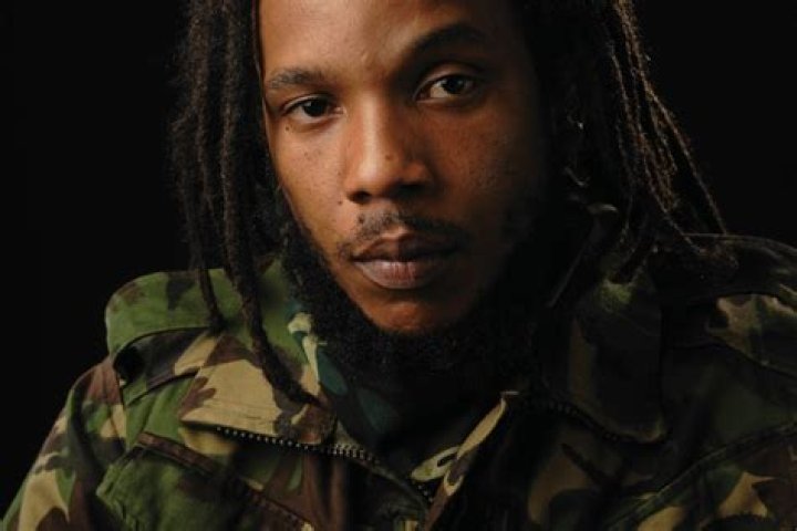 Stephen Marley (Reggae Singer) - Age, Birthday, Bio, Facts, Family, Net Worth, Height & More