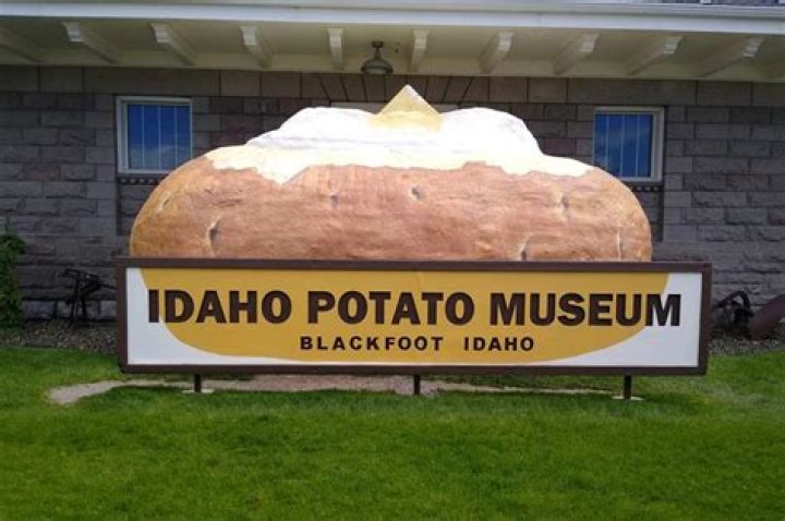 6 Of The Strangest Museums Around The World