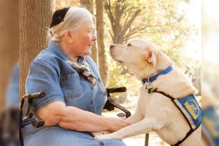 Sue Thomas (Memoirist) - Age, Birthday, Bio, Facts, Family, Net Worth, Height & More