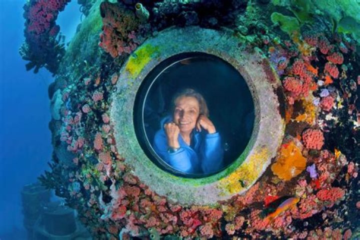 Sylvia Earle (Oceanographer) - Age, Birthday, Bio, Facts, Family, Net Worth, Height & More